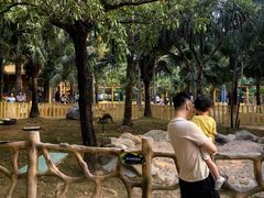 -灵玲国际马戏城