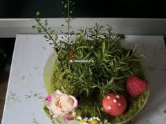 -5Cake五度无蔗糖低脂蛋糕(陶然亭店)