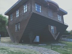 -金山农民画村-枫泾波兰倒置屋