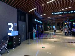 -SFC上影影城(唐镇店)