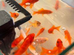 -快乐街区(成都龙湖北城天街店)