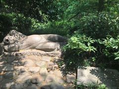 -杭州半山国家森林公园