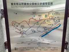 -铁山坪森林公园