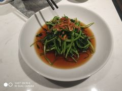 -绿波廊七号(豫园新路店)