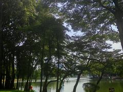 -荔湾湖公园
