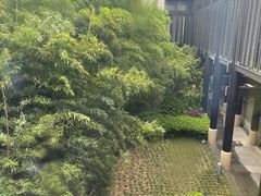 -上海崇明金茂凯悦酒店