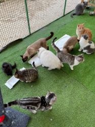 -萌宠亲子动物乐园(槐房万达店)