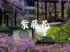 -留园