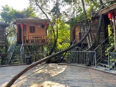 -天门沟九州驿站树上汤泉