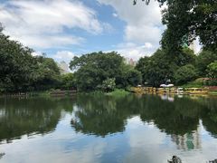 -晓港公园