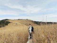 -秦岭风景区