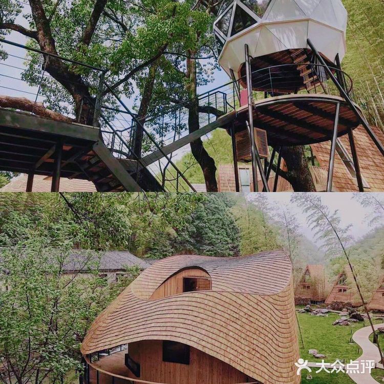 杭州周边游99隐藏在森林里的三角树屋民宿