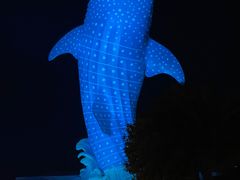 -珠海长隆海洋王国