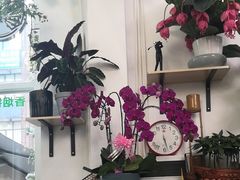 -FEI FEI FLOWER鲜花店·气球派对·宝宝宴布置(虹口德必运动Loft店)