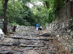 -阳台山自然风景区