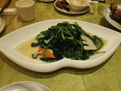 -半岛公馆(淞兴西路店)