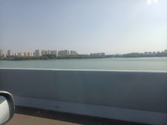 -丁香湖公园