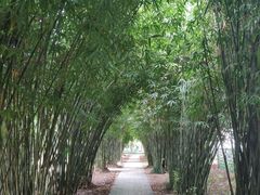 -堤角公园
