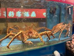 -谊荣海鲜大牌档(石湖店)