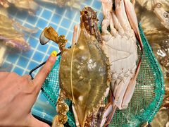 -黄龙海鲜大排档(杭州总店)