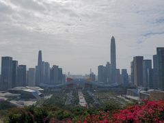 -莲花山公园