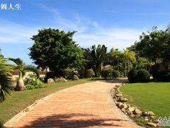 -三亚亚龙湾凯莱仙人掌度假酒店