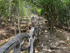 -梧桐山风景名胜区