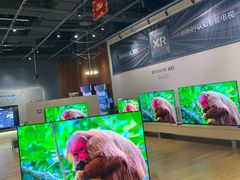 -Sony Store 索尼(来福士店)