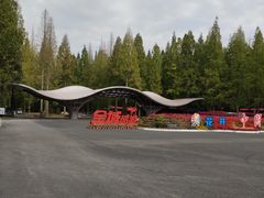 -东平国家森林公园