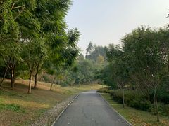 -白鹭湾湿地公园