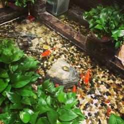 -至爱至信新中式SPA疗愈会所