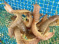 -红月湾海鲜饭店•沙滩海景(双月湾店)