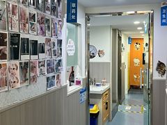 -佑安动物医院·全科·内窥镜中心(幸福巷店)