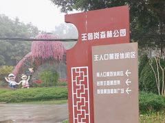 -王借岗森林公园