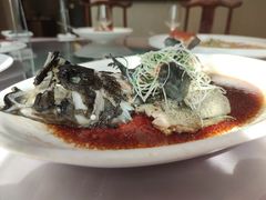 清蒸龙胆鱼-紫阳海鲜楼·传承闽味(长乐路总店)