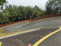 -黄埔油麻山森林公园