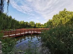 -丰台科技园生态主题公园