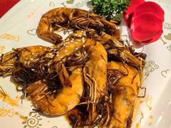 -宋园·金宴浙鲜馆(静安店)