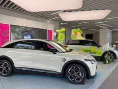 -上海浦东smart汽车全功能店(金桥店)