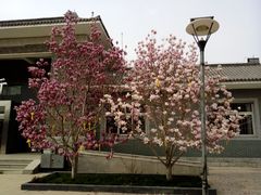 -北京市八达岭人民公墓