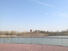 -东郊湿地公园