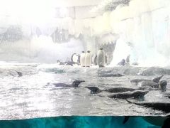 -珠海长隆海洋王国