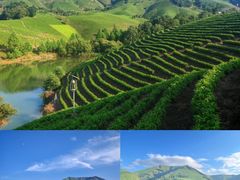 -阿露佳·舌尖上的安吉菜