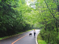 -五女峰国家森林公园
