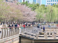 -西北湖绿化广场