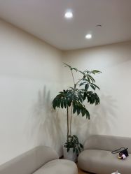 -HEYAN荷妍专业脱毛连锁机构