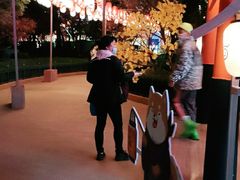 -七彩云南欢乐世界