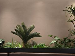 -奈雪的茶(广州万菱汇PRO店)