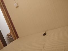 -老成都·古法采耳·禅洗头疗(四川总店)