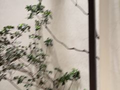 -万达广场(南宁青秀店)